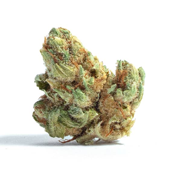 The flavor of Goji OG is as unique as the berry it's named after, offering a dynamic aroma including red berry, black cherry, strawberry, hawaiian punch, and licorice.